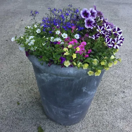 Tatil Evi La Parenthese *