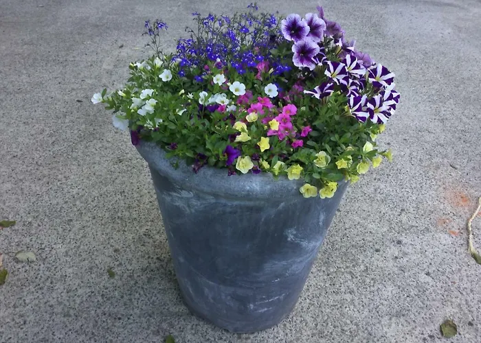 بيت للعطل La Parenthese *